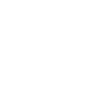 Icon 1.png